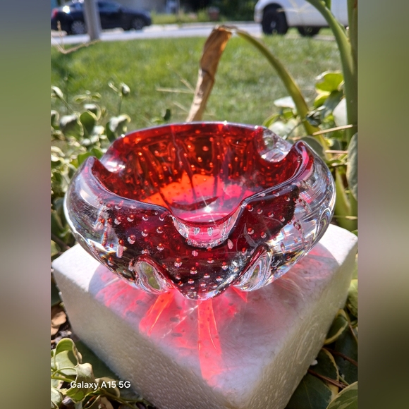 Meet your Posher, Winifred - Picture 5 of 5